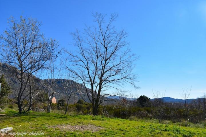 El descanso de Odín ¡Una auténtica posada vikinga! Mataelpino Exterior foto